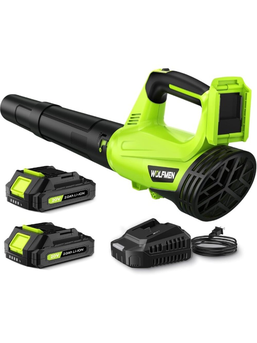 Cordless Leaf Blower 450 CFM, 2-Speed, Lightweight with 2 Batteries & Charger